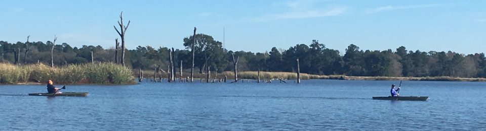 Food Fitness and Fun – ByCandace